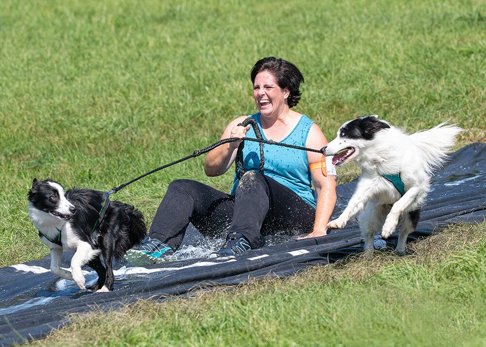 Mensch-Hund-Team beim Hindernislauf