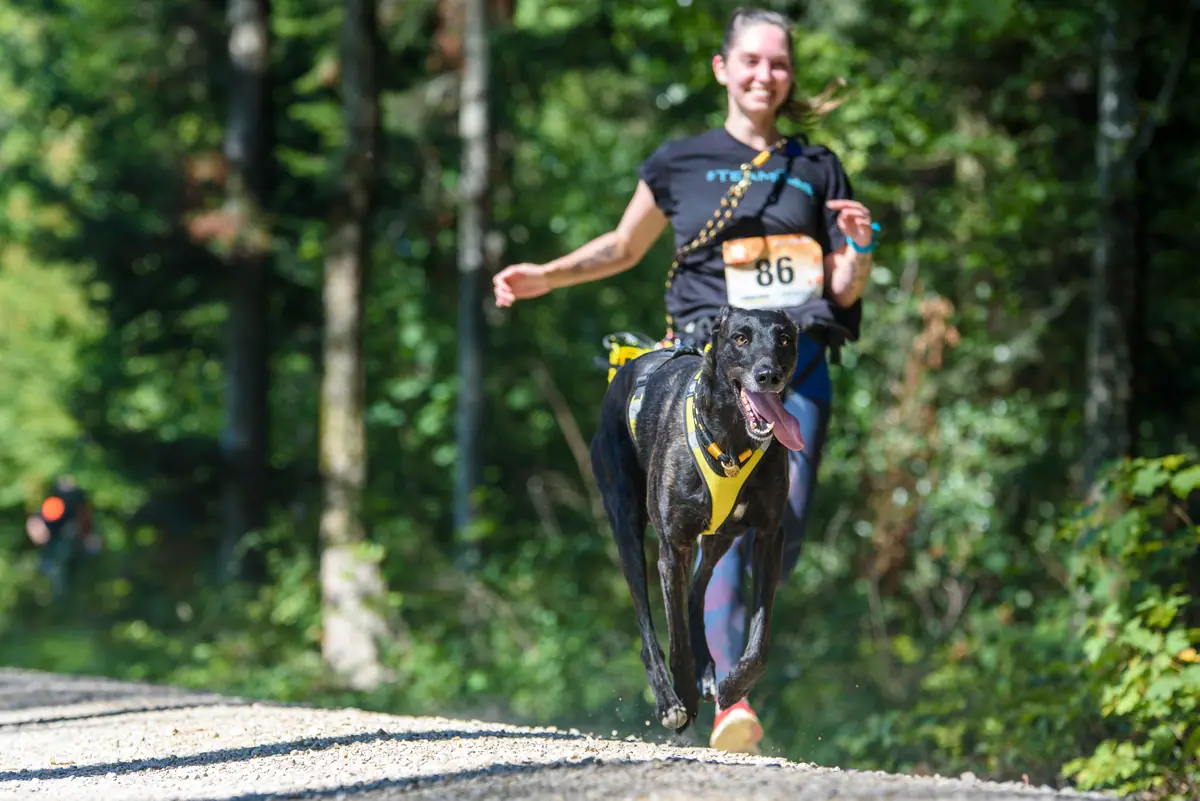 Läuferin mit Startnummer 86 rennt lachend mit ihrem Hund durch den Wald