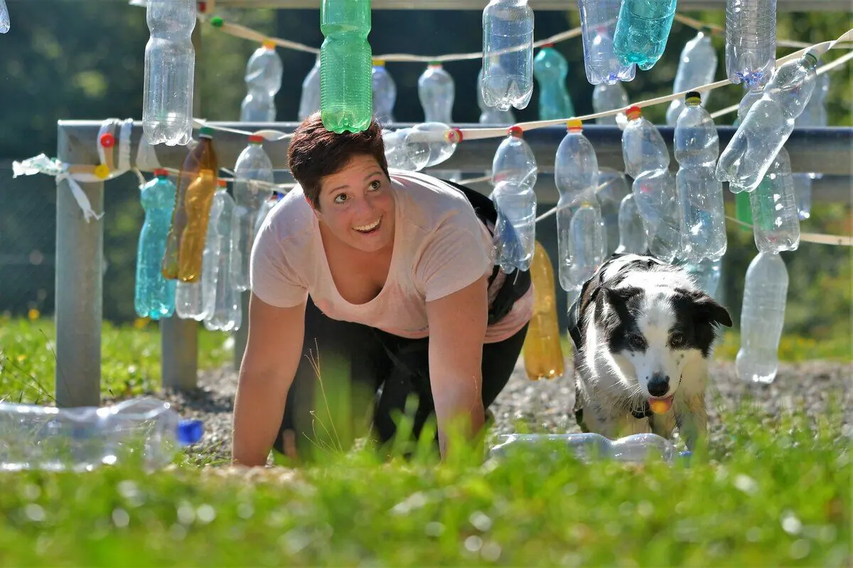 Läuferin kriecht mit Border Collie unter einem Vorhang aus PET-Flaschen durch